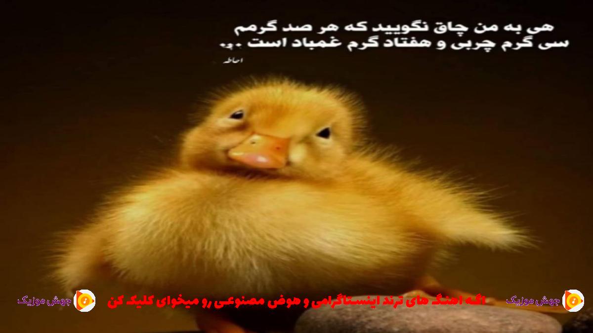 دانلود آهنگ وقتی ترکم کردی قلبم مرد دیگه زدم قید همه چیمم از سجاد شاهی